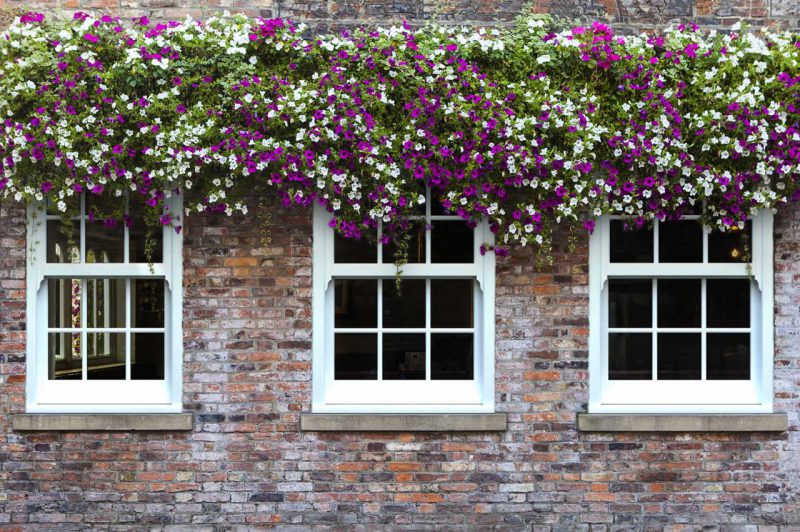 White sash windows. Versatile and Timeless.