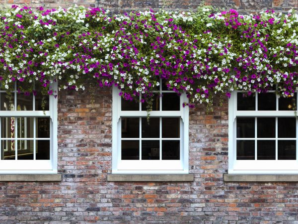 Sliding Sash Windows