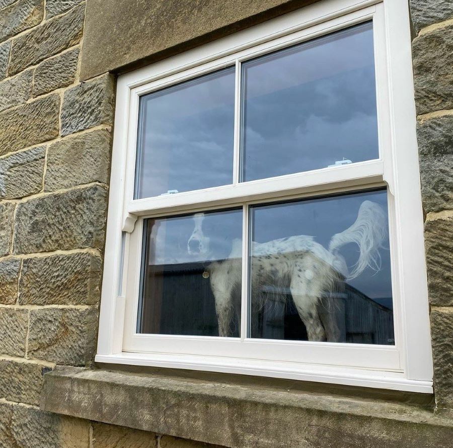 Cream grain sliding sash windows, combining traditional charm with modern performance